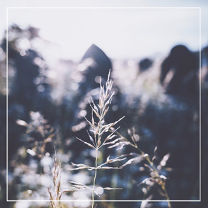 极品熟妇大蝴蝶
