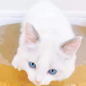 东京热一区二区无码av
