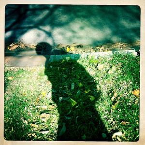 舒淇一级A片巜色情荒野
