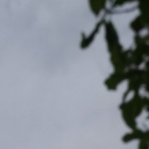 成人毛片❌❌❌新的疆
