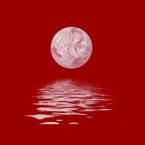 帮我找那种做爱亲爱的三视频一个男的一个女的做爱情视频
