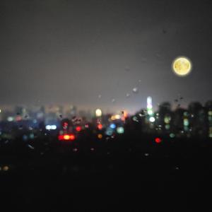 欧美日韩视频免费
