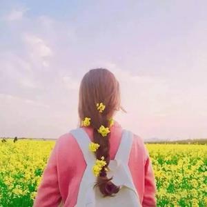 东京热一区二区无码av
