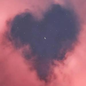 亚洲毛片无码专区
