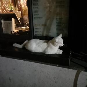 欧美精品高清在线xxxx
