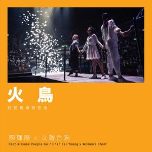 欧美日韩视频免费
