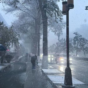 极品熟妇大蝴蝶
