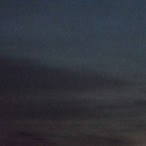 婷婷调教口舌奴vk
