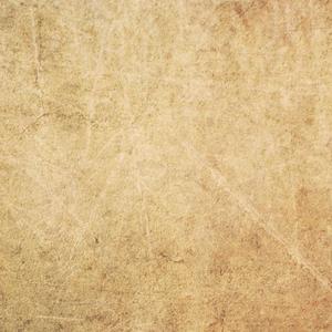 999AV在线视频网
