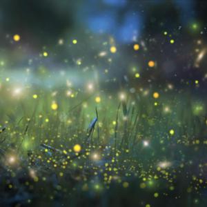 偷玩朋友丰满人妻好紧的亲身经历
