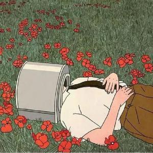 5555笔盒在线观看
