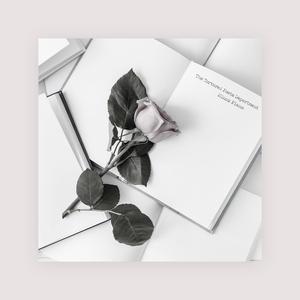 日韩在线免费播放
