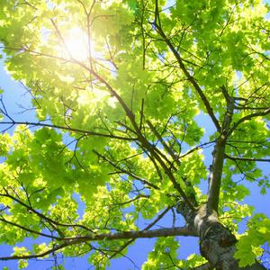 日韩在线免费播放
