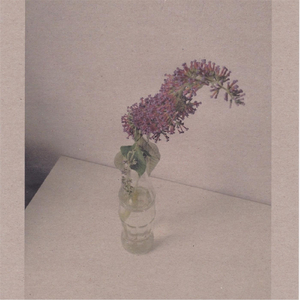 亚洲毛片无码专区
