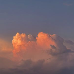 欧美老妇与小伙21P
