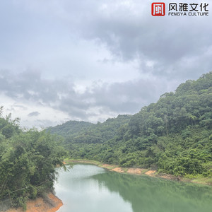 舒淇一级A片巜色情荒野
